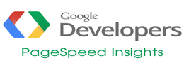 آموزش استفاده از ابزار Google Page Speed Insight