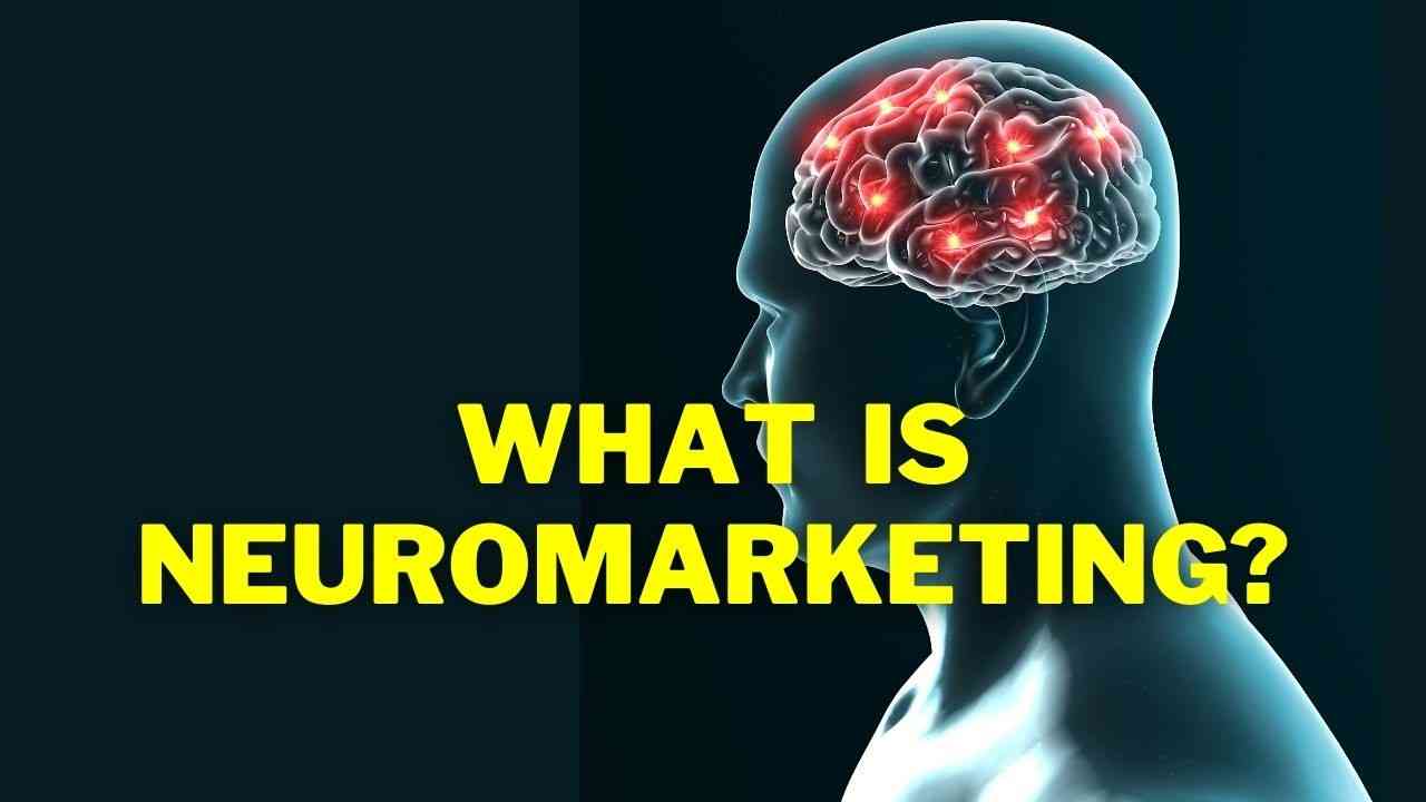 در مورد بازاریابی عصبی چه می دانید؟ در مورد بازاریابی عصبی چه می دانید؟