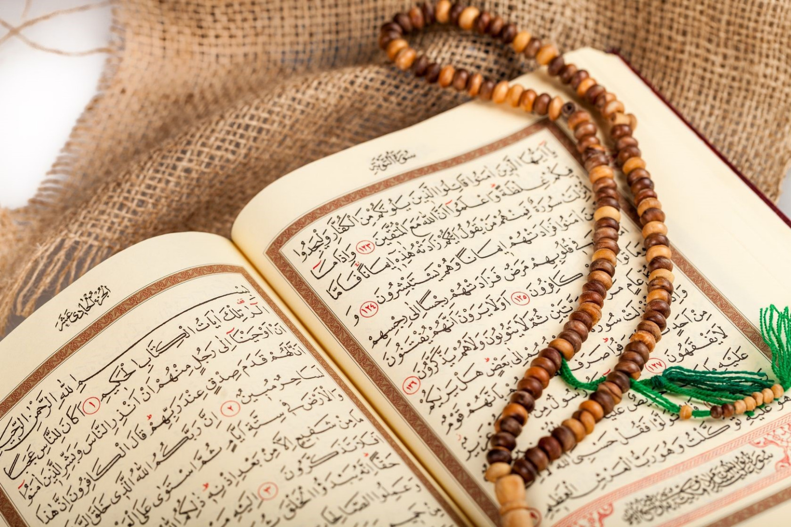 تربیت اسلامی کودک را با شناخت صحیح اسلام تربیت می‌کند