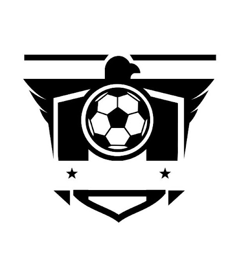 ساخت لوگو برای تیم فوتبال