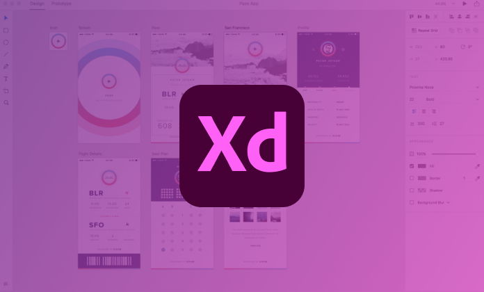 طراحی سایت با xd