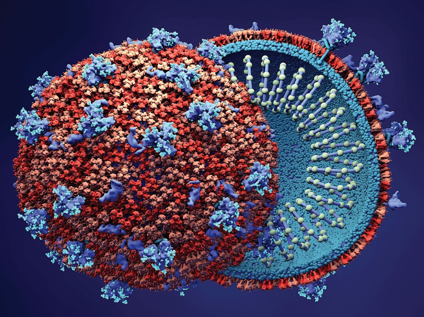 تشخیص RNA