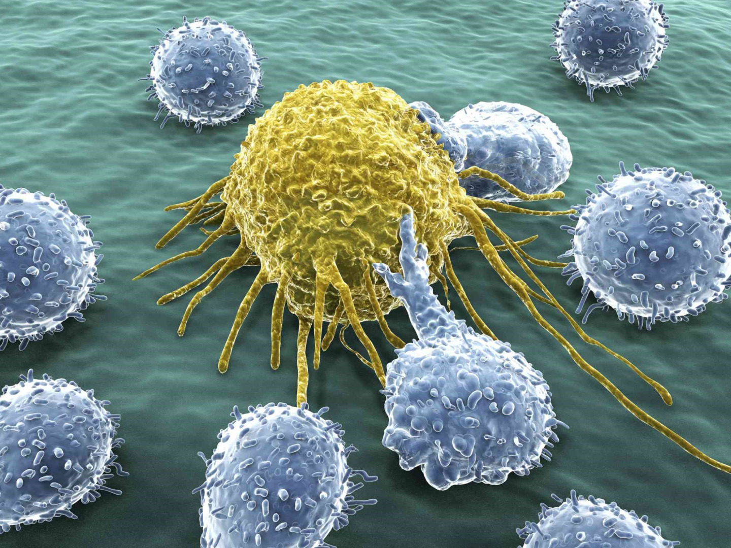 برنامه ریزی مجدد سلول‌های T برای درمان سرطان خون