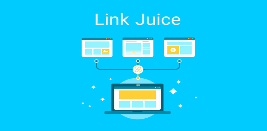 انواع Link juice کدام اند؟