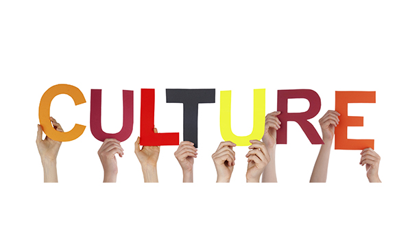اهمیت مطالعه فرهنگی در یک شرکت