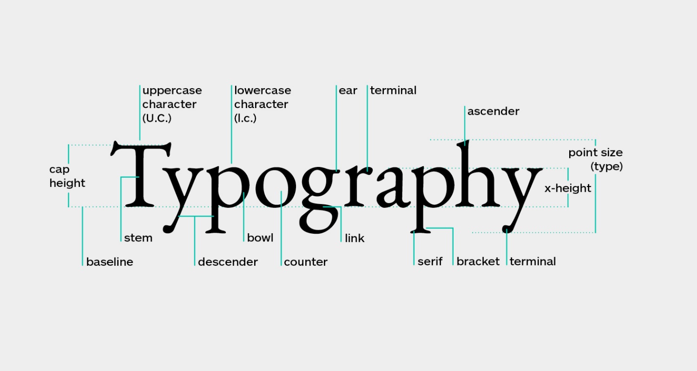 تایپوگرافی چیست