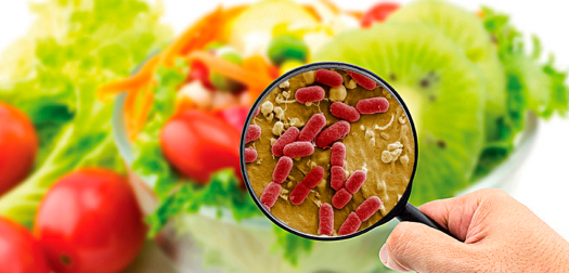 نقش میکروبیولوژی مواد غذایی در افزایش کیفیت مواد غذایی
