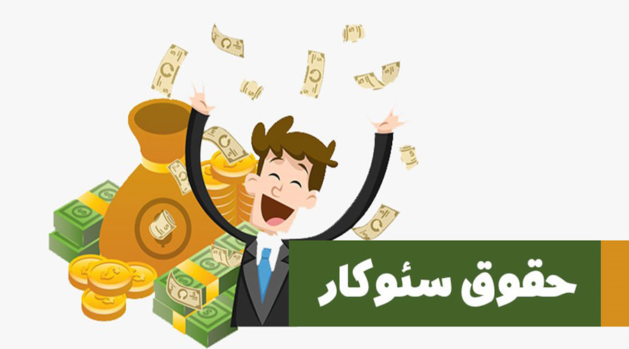 عوامل موثر بر حقوق سئوکار