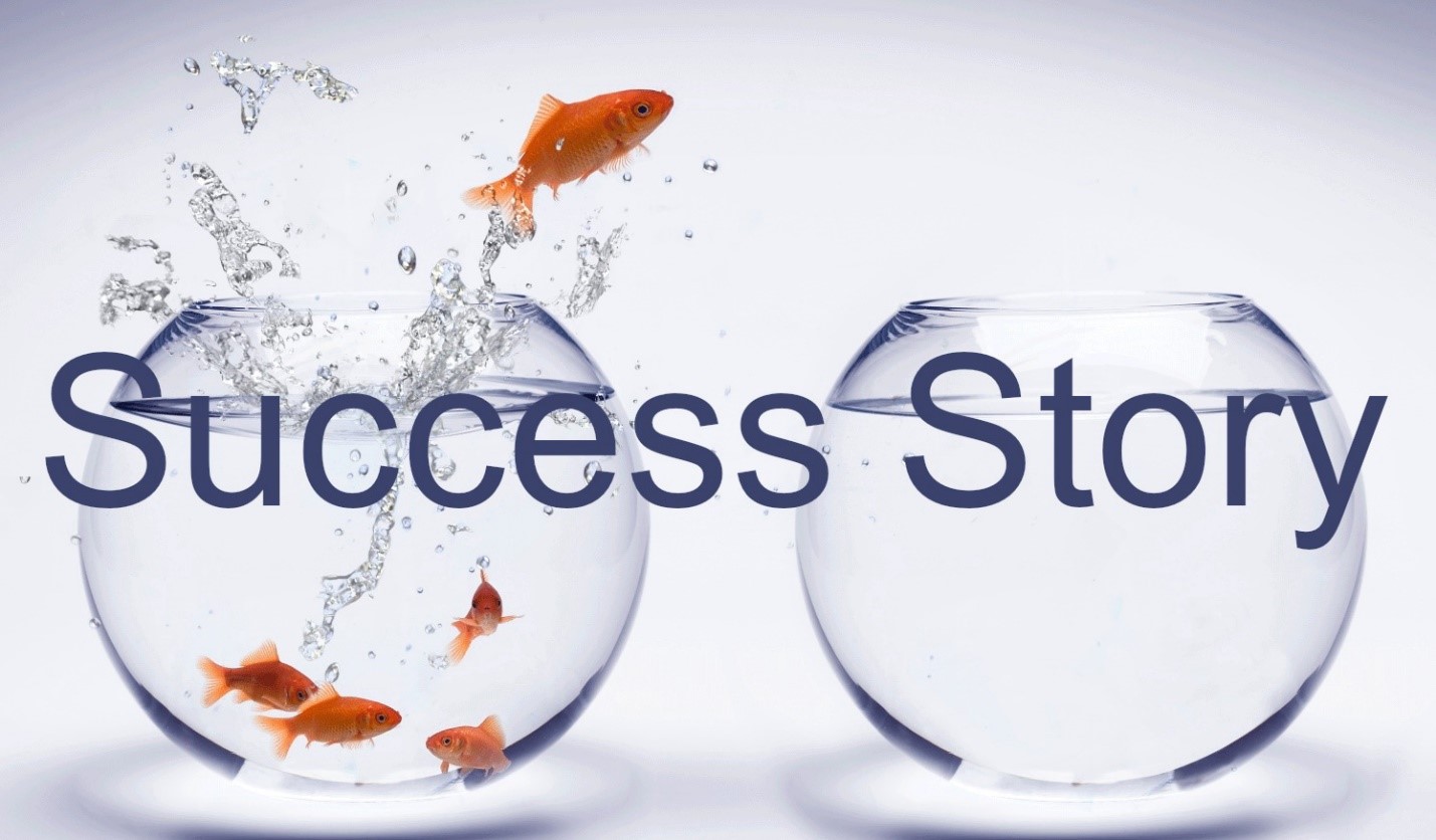 داستان موفقیت بهترین روش برای نشان دادن راه رسیدن به راه حل موردنظر به مشتری بالقوه است.